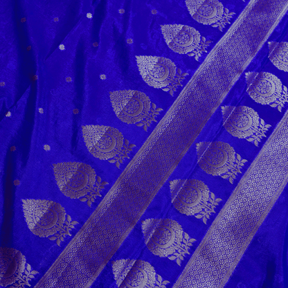 Blue Raw Mango Silk Saree