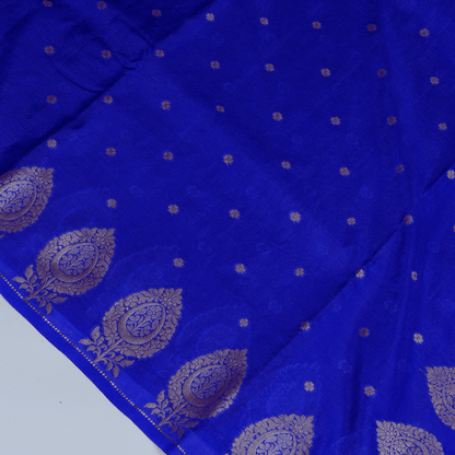 Blue Raw Mango Silk Saree